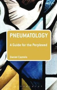 bokomslag Pneumatology: A Guide for the Perplexed