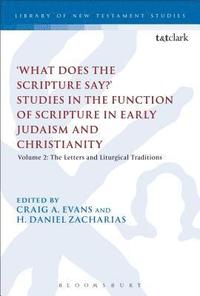 bokomslag What Does the Scripture Say?' Studies in the Function of Scripture in Early Judaism and Christianity