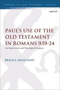 bokomslag Pauls Use of the Old Testament in Romans 9:19-24