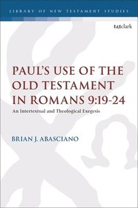 bokomslag Paul's Use of the Old Testament in Romans 9:19-24