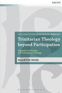 bokomslag Trinitarian Theology beyond Participation