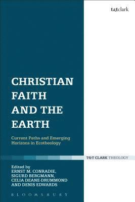 bokomslag Christian Faith and the Earth