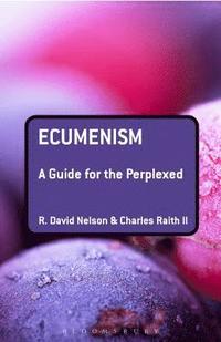 bokomslag Ecumenism: A Guide for the Perplexed