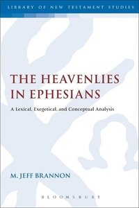 bokomslag The Heavenlies in Ephesians