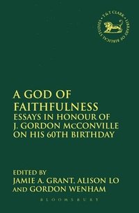 bokomslag A God of Faithfulness