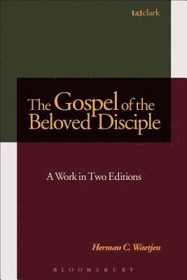 bokomslag The Gospel of the Beloved Disciple