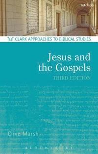 bokomslag Jesus and the Gospels