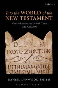 bokomslag Into the World of the New Testament