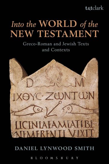 bokomslag Into the World of the New Testament