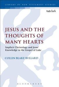 bokomslag Jesus and the Thoughts of Many Hearts