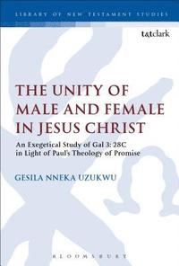 bokomslag The Unity of Male and Female in Jesus Christ