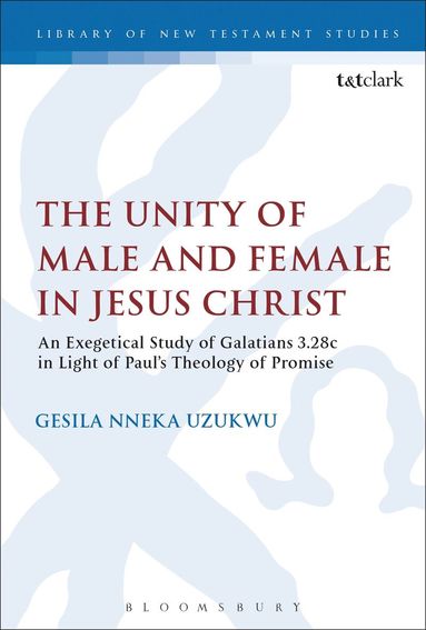 Gesila Nneka Uzukwu, Chris Keith - Unity of Male and Female in Jesus Christ, Inbunden