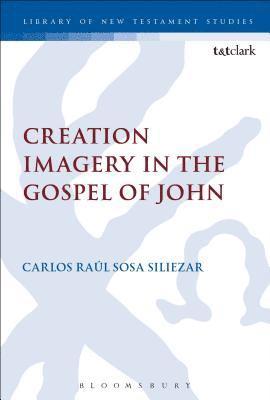 bokomslag Creation Imagery in the Gospel of John