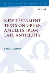 bokomslag New Testament Texts on Greek Amulets from Late Antiquity