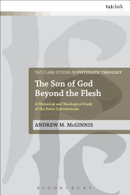 The Son of God Beyond the Flesh 1