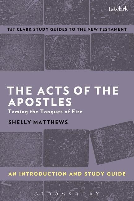 Shelly Matthews, USA) Matthews, Shelly (Brite Divinity School, Usa) Matthews, Shelly (brite Divinity School, Benny Liew - Acts of The Apostles: An Introduction and Study Guide, Häftad