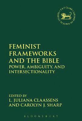 bokomslag Feminist Frameworks and the Bible