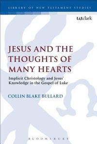 bokomslag Jesus and the Thoughts of Many Hearts