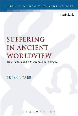 bokomslag Suffering in Ancient Worldview