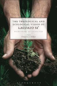 bokomslag The Theological and Ecological Vision of Laudato Si'