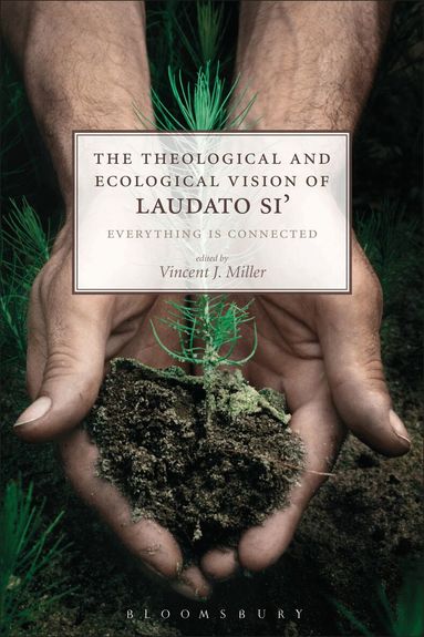 Vincent J. Miller - Theological and Ecological Vision of Laudato Si', Häftad