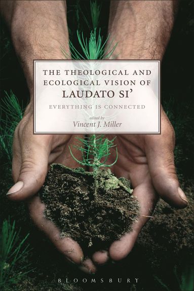 bokomslag Theological and Ecological Vision of Laudato Si'