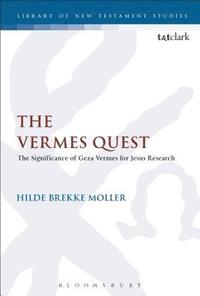 bokomslag The Vermes Quest