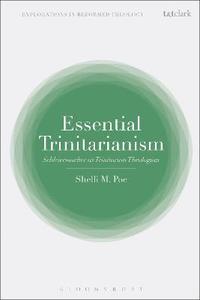 bokomslag Essential Trinitarianism