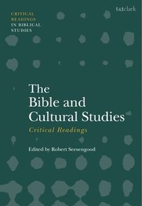 bokomslag The Bible and Cultural Studies: Critical Readings