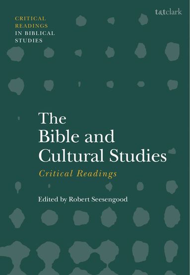 bokomslag Bible and Cultural Studies: Critical Readings