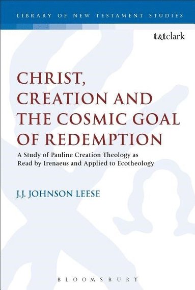 bokomslag Christ, Creation and the Cosmic Goal of Redemption