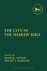 bokomslag The City in the Hebrew Bible
