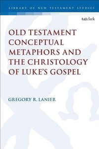 bokomslag Old Testament Conceptual Metaphors and the Christology of Lukes Gospel