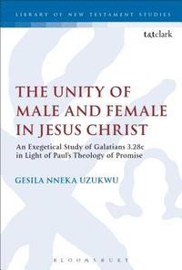 bokomslag The Unity of Male and Female in Jesus Christ