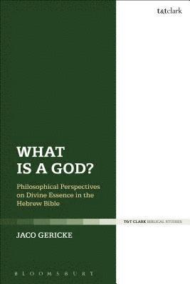 Jaco Gericke - What is a God?, Häftad