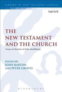 bokomslag The New Testament and the Church