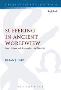 bokomslag Suffering in Ancient Worldview