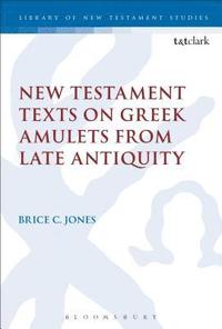 bokomslag New Testament Texts on Greek Amulets from Late Antiquity