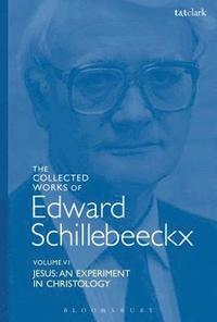 bokomslag The Collected Works of Edward Schillebeeckx Volume 6