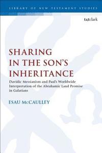 bokomslag Sharing in the Sons Inheritance