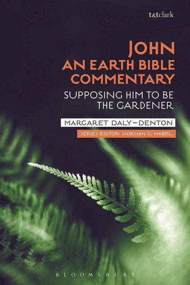 bokomslag John: An Earth Bible Commentary