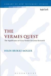 bokomslag The Vermes Quest