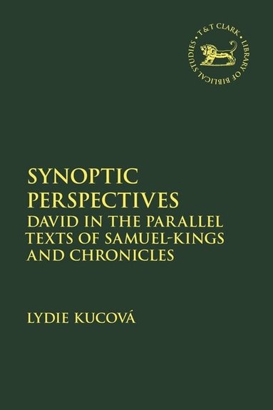 Lydie Kucová, Laura Quick, Jacqueline Vayntrub, James K Aitken - Synoptic Perspectives, Inbunden