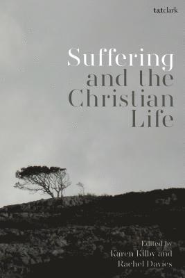 bokomslag Suffering and the Christian Life