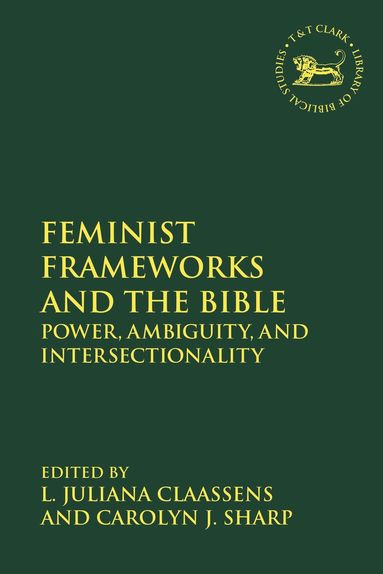 bokomslag Feminist Frameworks and the Bible