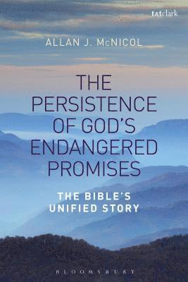 bokomslag The Persistence of God's Endangered Promises