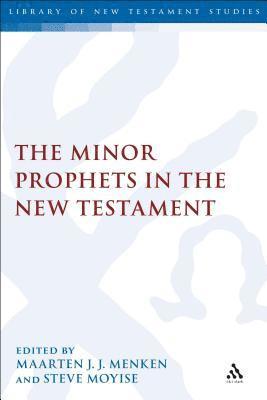 bokomslag The Minor Prophets in the New Testament