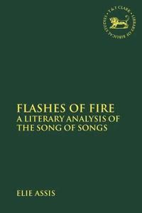 bokomslag Flashes of Fire