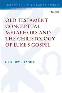 bokomslag Old Testament Conceptual Metaphors and the Christology of Lukes Gospel