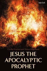 bokomslag Jesus the Apocalyptic Prophet